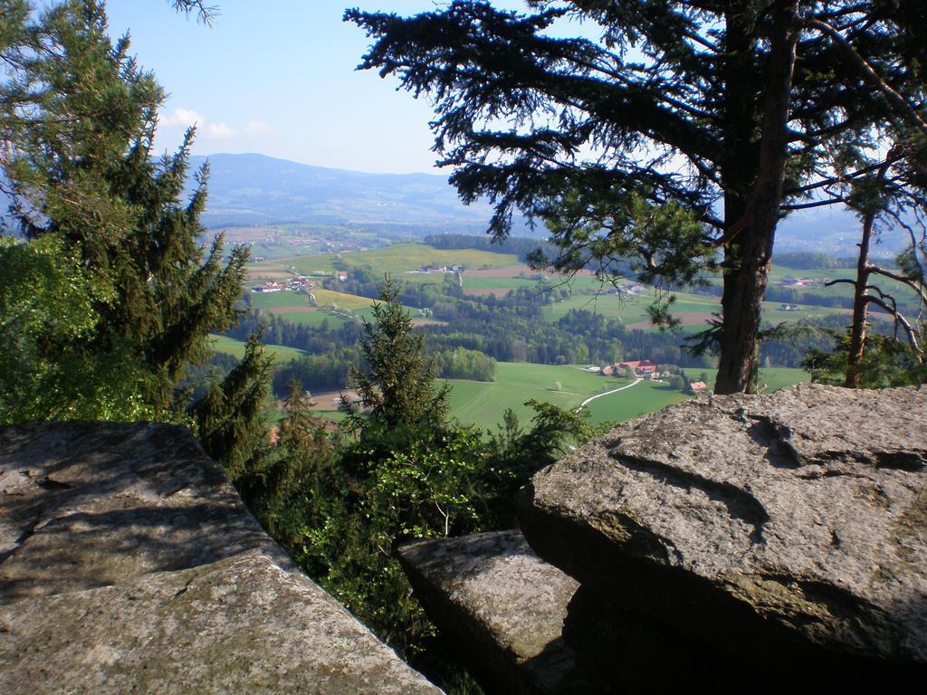 Wiesenbauer - Schlogl Anton Βίλα Grafendorf bei Hartberg Εξωτερικό φωτογραφία
